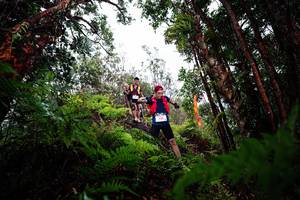 BIB: 
                            <button type="button" onclick="openModal(26204006)" class="btn btn-primary btn-sm float-right btn-popup" data-toggle="modal" data-target=".modal-high-quality">
                        <i class="fas fa-shopping-cart"></i> Add to Cart
                    </button>
                                            <button type="button" onclick="isThisMe(26204006, true)" class="btn btn-success btn-sm float-right btn-popup btn-isme hidden" data-toggle="tooltip" data-placement="bottom" title="นี่คือรูปของคุณใช่ไหม คลิกที่นี่เพื่อเอาเข้าอัลบั้ม">
                        <i class="fas fa-plus"></i> Add to album
                    </button>
                    <button type="button" onclick="isThisMe(26204006, false)" class="btn btn-warning btn-sm float-right btn-popup btn-isnotme hidden">
                        <i class="fas fa-ban"></i> Remove from album
                    </button>